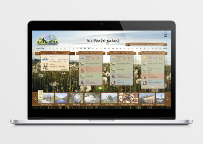 In’s Murtal gschaut